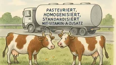 Witz: Zwei Kühe neben der Autobahn...